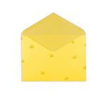 Yellow Envelope