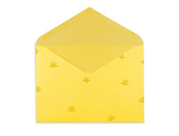 envelope4
