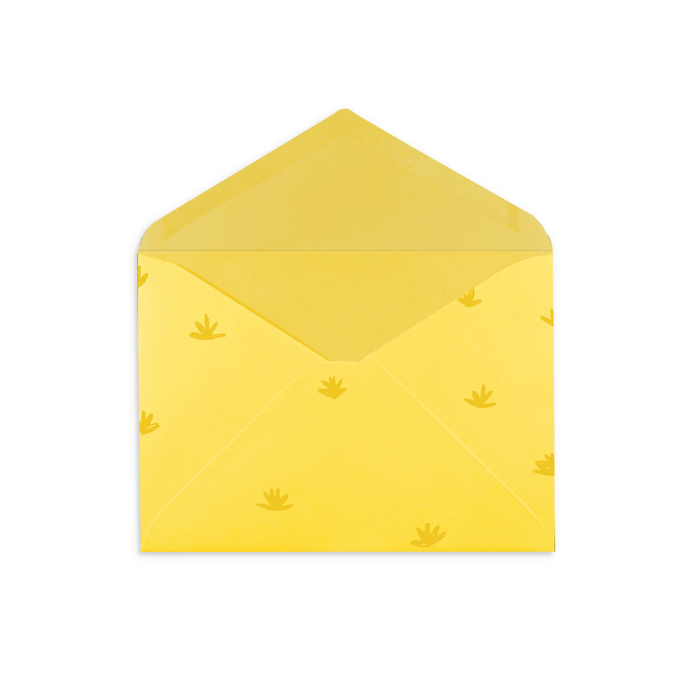 Yellow Envelope