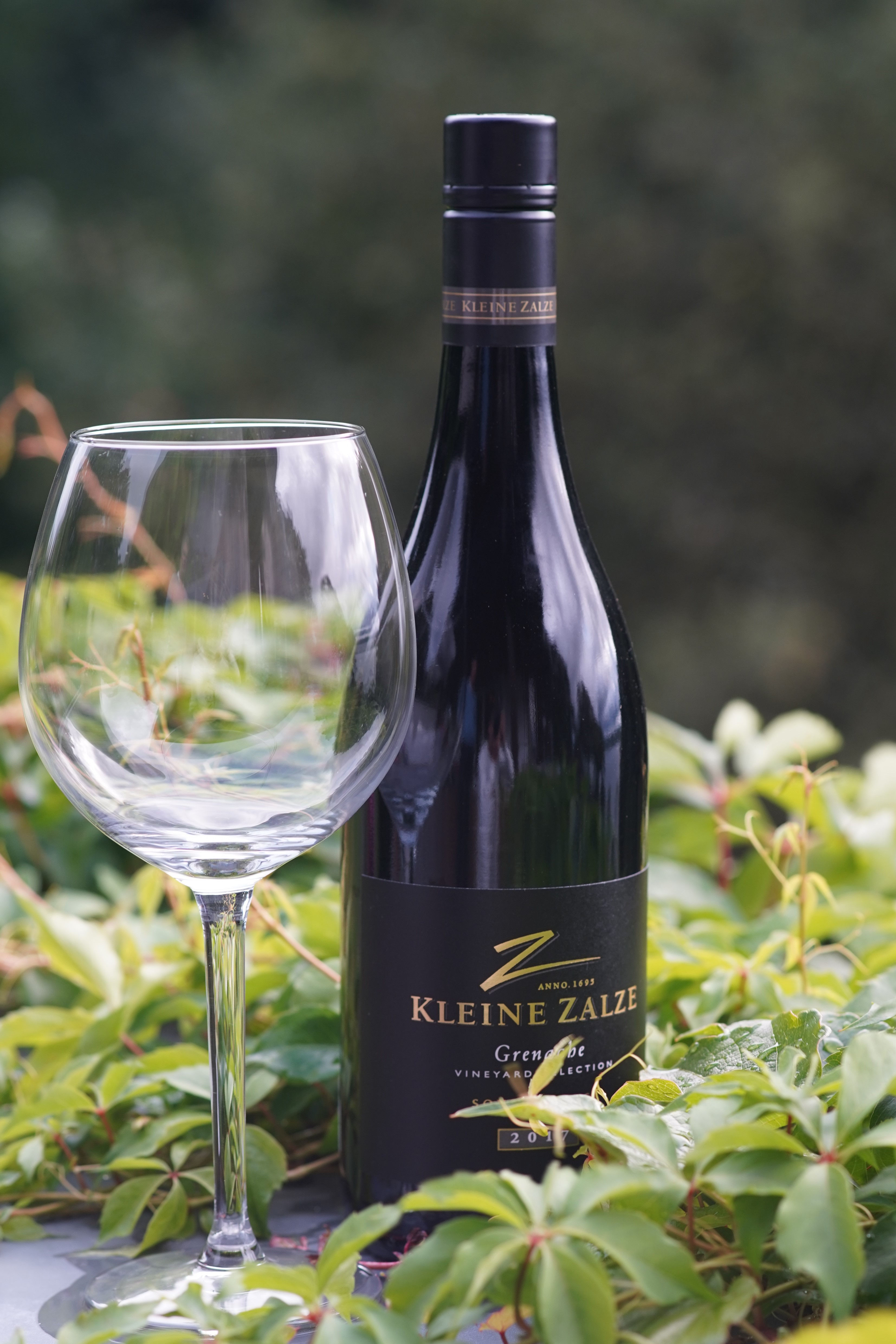 Kleine Zalze Vineyard Grenache