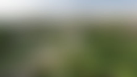 Sustainable Progress in Latin America: How Brazil is Balancing Growth and Conservation 🇧🇷