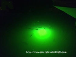 Take our lights with you