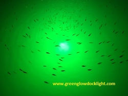 It all starts with attracting bait.