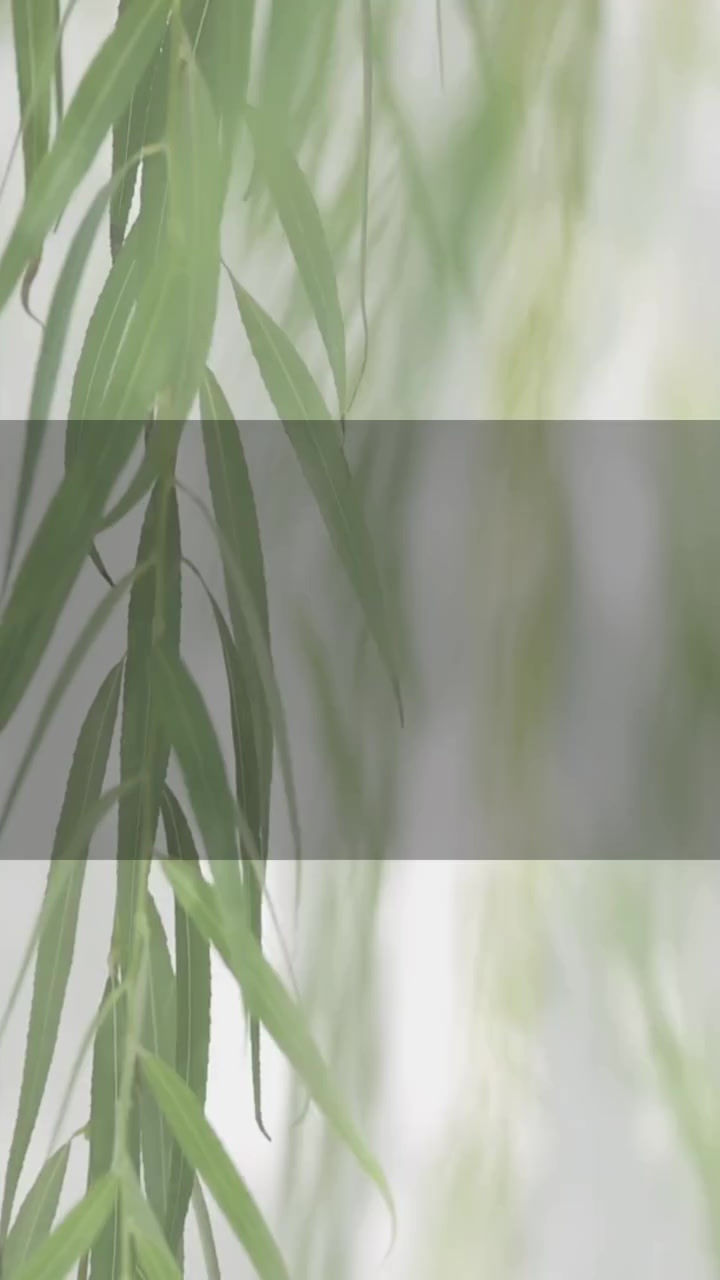 Interior Decor - The Theory of the Five Phases (vídeo)