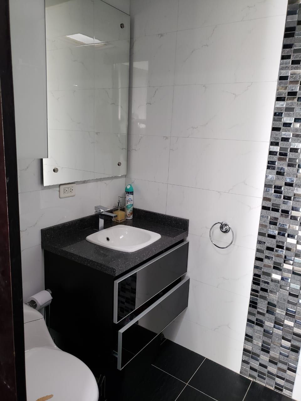 Miniatura: Santa Paula - Venta