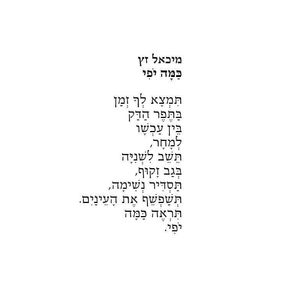 נוירופדגוגיה 1