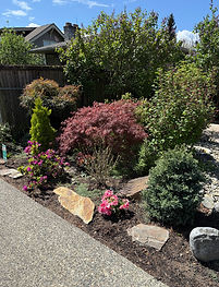 Simply Mia's landscaping
