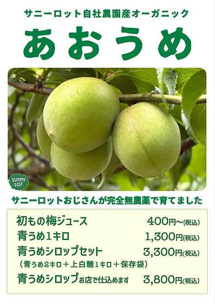 あおうめ.jpg