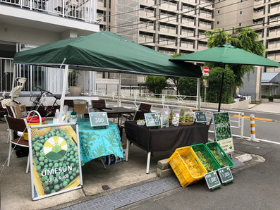 SUNNY LOT 4年目スタート
