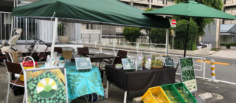 SUNNY LOT 4年目スタート