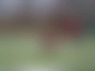 1月7日 BEARS新年初練習