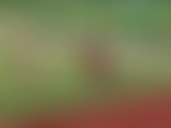 Atto Photo-3:新入部員歓迎月間の様子