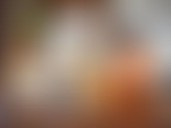 みそ蔵見学 見れば分かる有機栽培の意義