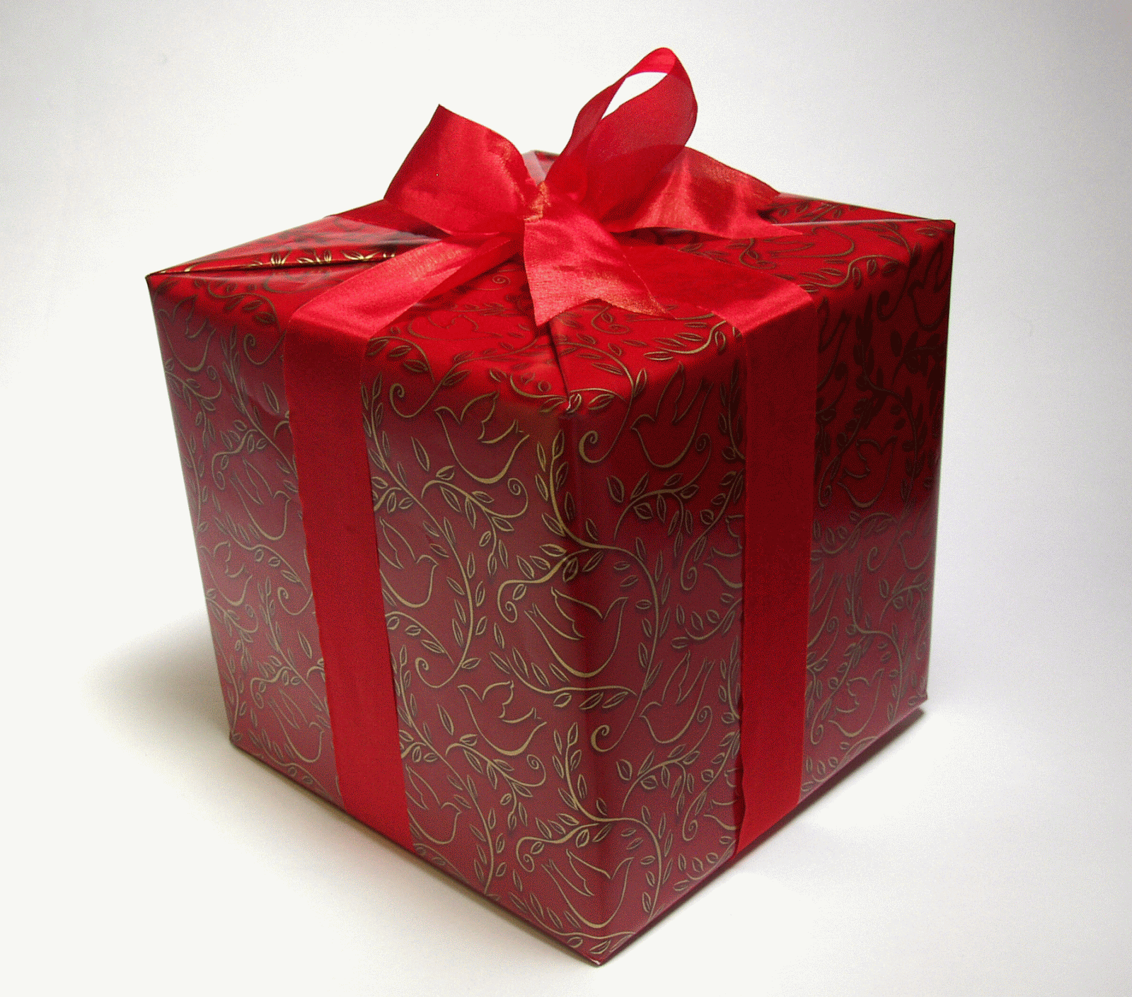 regalo4