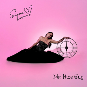 Review: "Mr. Nice Guy" - Siena Larsson