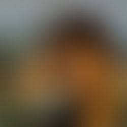 Review: "It's Safe to Say I Have Regrets" - Kahone Concept