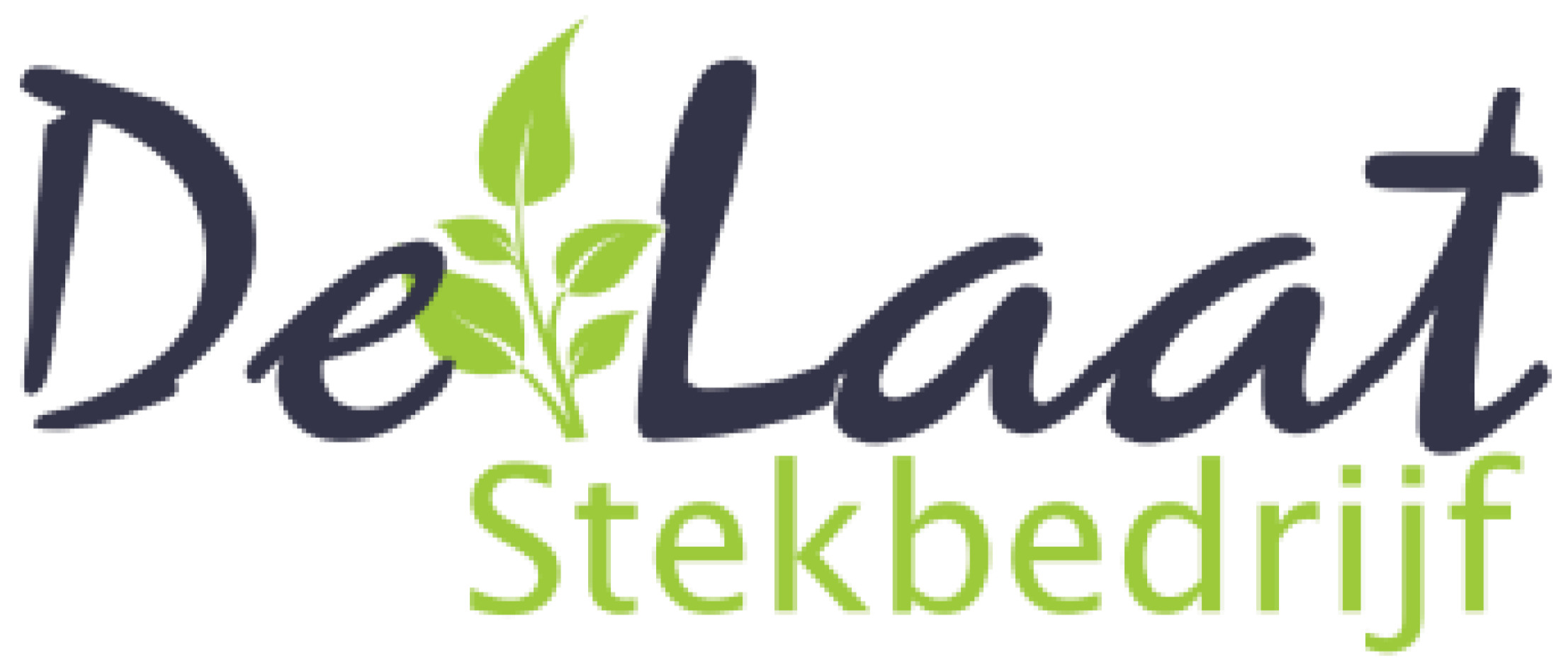 STEKBEDRIJF DE LAAT