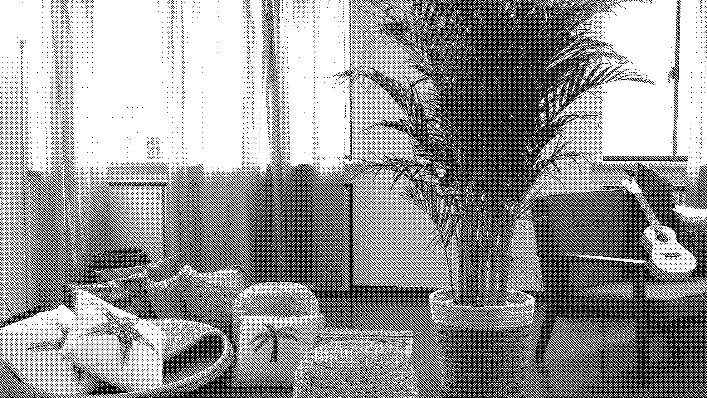 The alley guest house / Shimokitazawaの外観