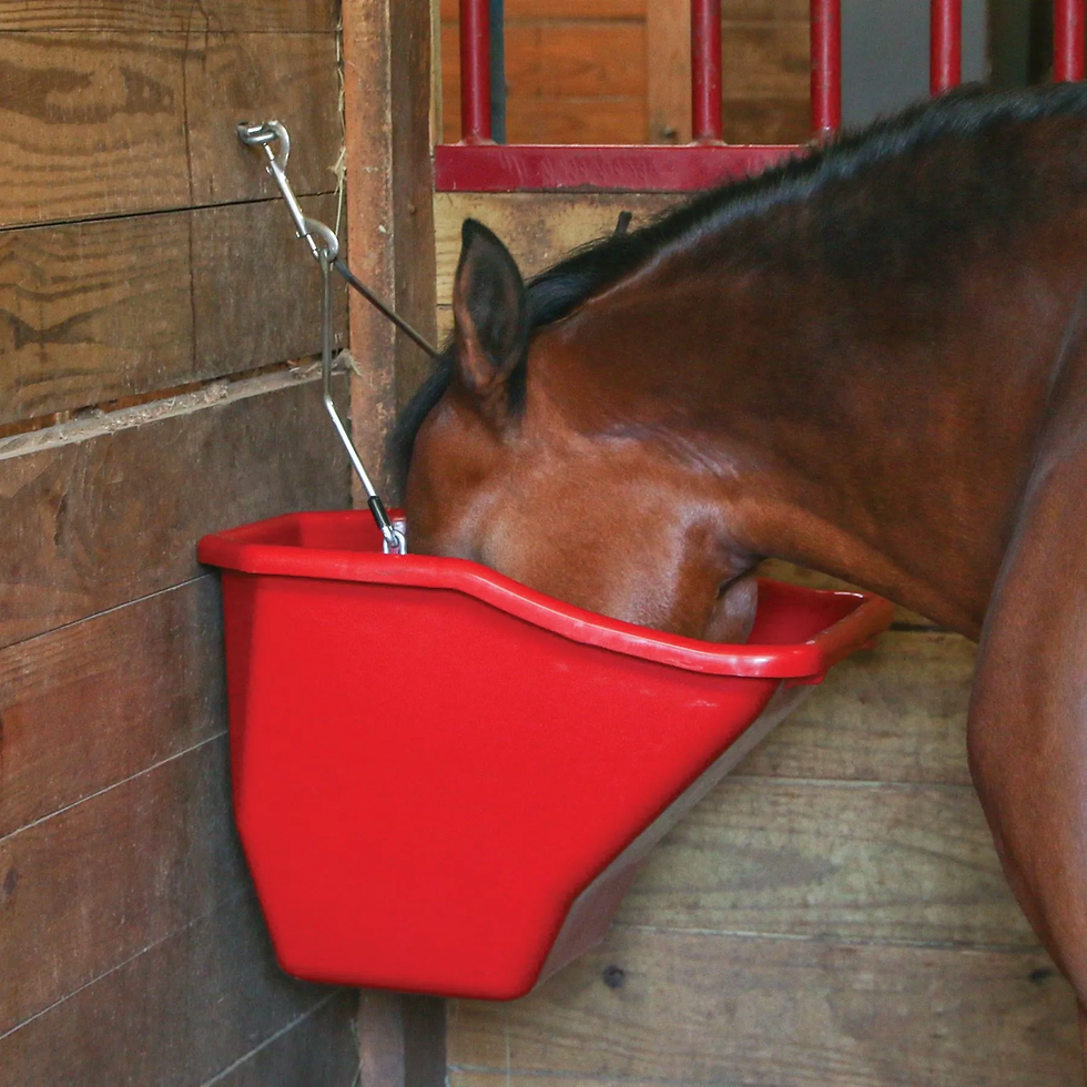 Horse drinking from a bright red water trough in a wooden stable, with a calm and peaceful atmosphere.