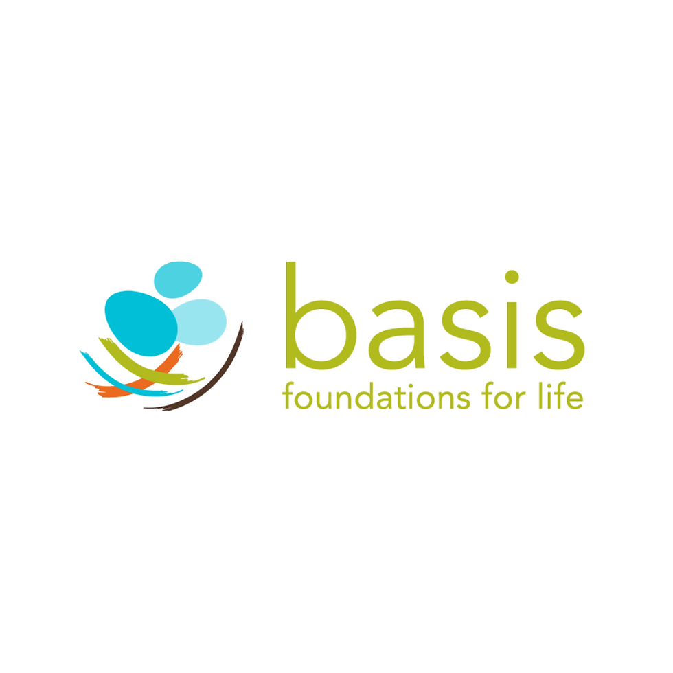basis foundation logo
