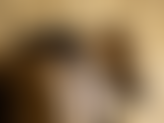 Brown horse with a black saddle stands against a textured stone wall. The saddle features a decorative red pattern. The scene is calm.