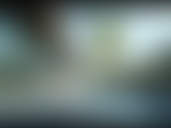 Investing in High-Potential Commercial Properties