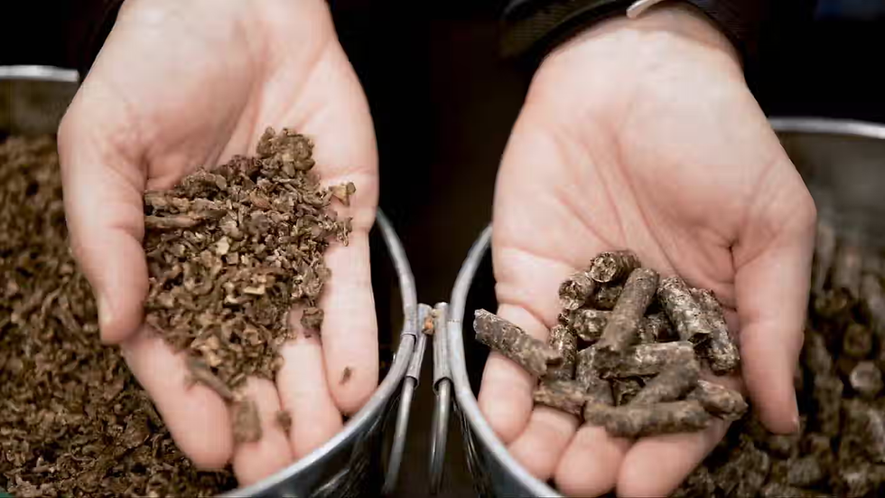 Hands holding two types of animal beets feed, one with pellets and the other with shreds, crumbly material. Metal buckets in the background.
