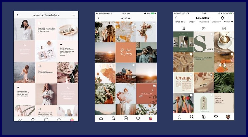 screenshot showing a Cohesive Instagram Aesthetic For Brands