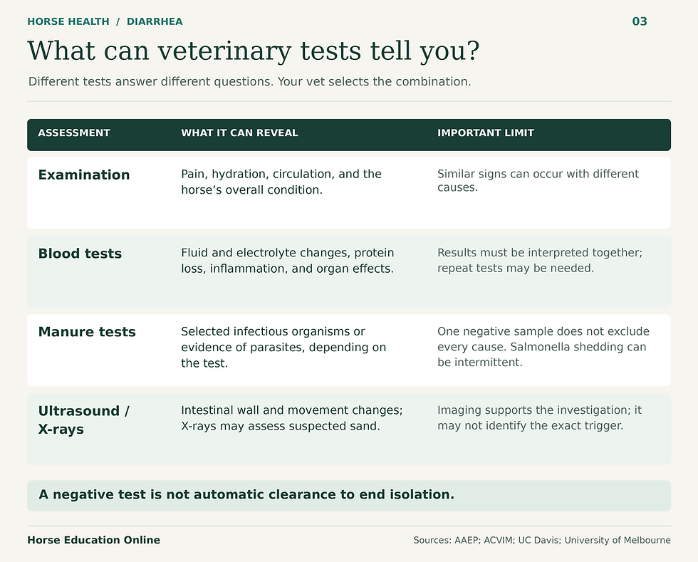 Comparison table explains what examination, blood tests, manure tests, and imaging can reveal, alongside their limitations.