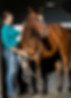 Trainer with horse — Horse Education Online case study (Hamilton SEO for equine education)