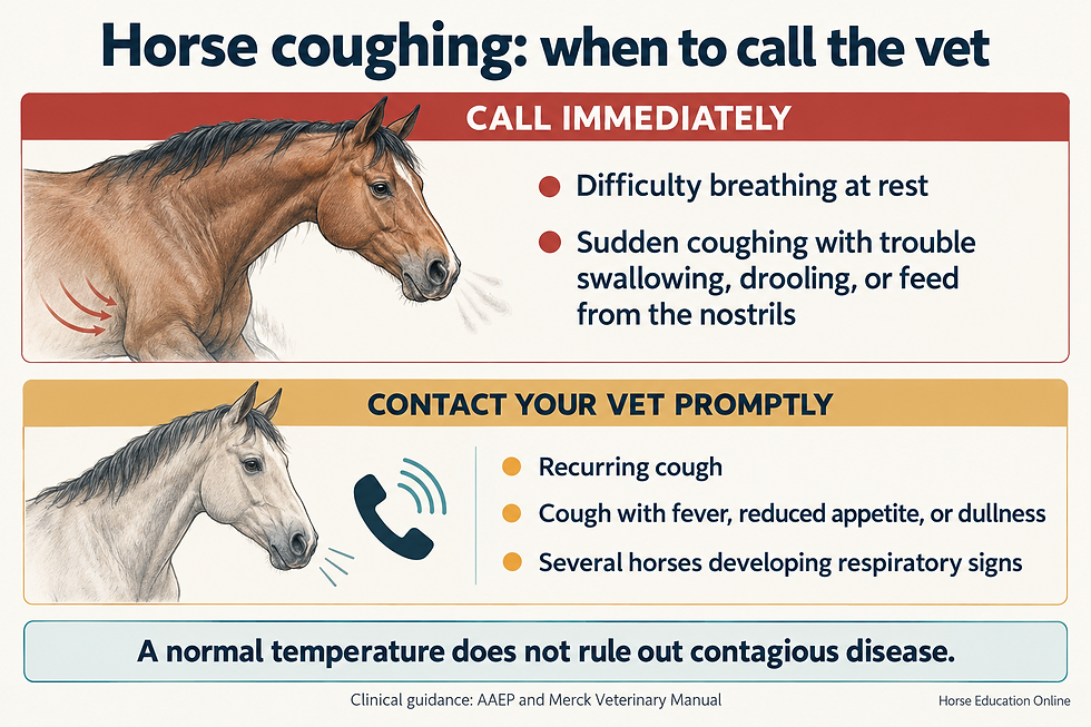 Infographic showing urgent warning signs in a coughing horse, including breathing difficulty and suspected choke, alongside signs requiring prompt veterinary advice.