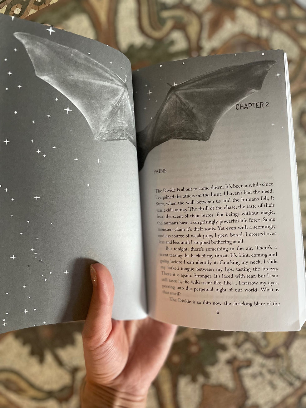 Thumbnail: interior book one