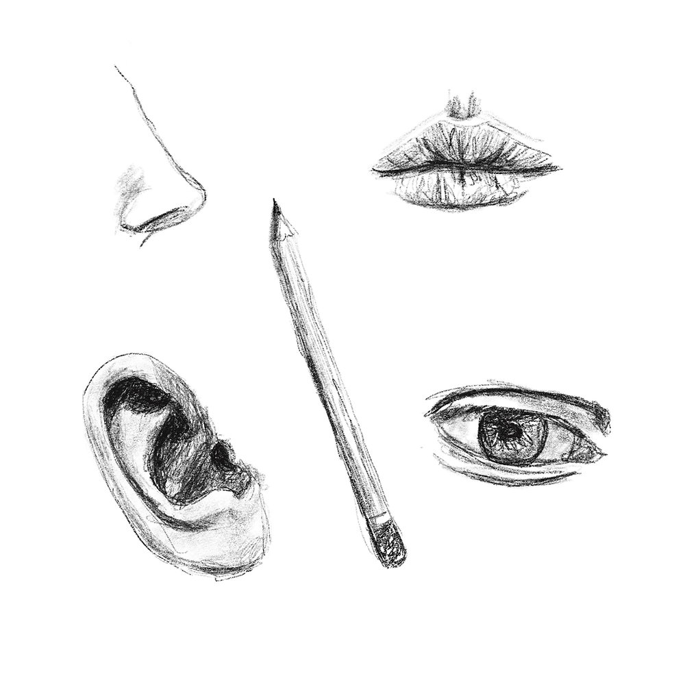 drawing-portraits
