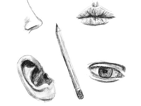 Drawing Portraits