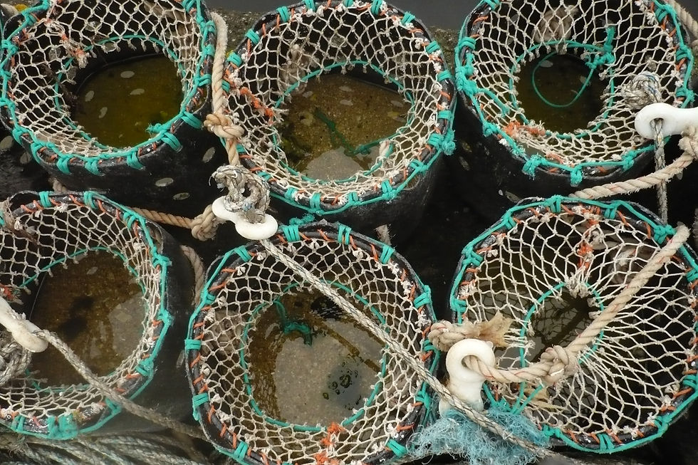 Lobster Pots, Lybster, Caithness