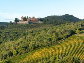 Top Motorcycle Wine Tours & Events 2024