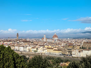 Florence Wine Bars & Restaurants Guide