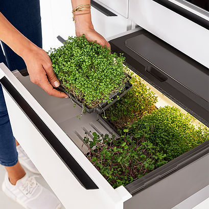 sally_gardening_box_easytouch_968_neuheiten_2023.jpg