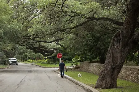 BonnieArbittier_contour_drive_bike_cyclist_walk_pedestrian_olmos_park_basin_coronavirus_co