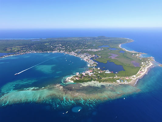 UTILA-1.jpg