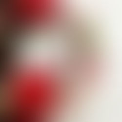 6 de dezembro é dia de Papai Noel