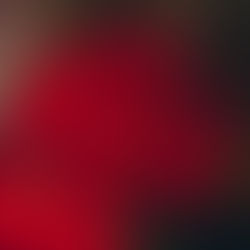 A Revolução dos Cravos em Portugal