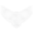 R Wings white.png