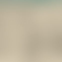 Yeni Nesil Negatif Dışsallık TelePhone