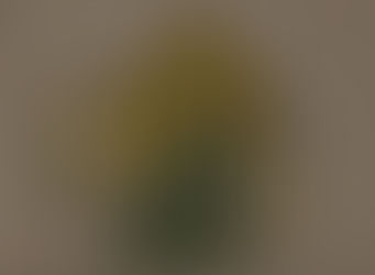 Bellek ve İmge: Kültürel ve Kentsel Mekanlarda Anlamın İnşası