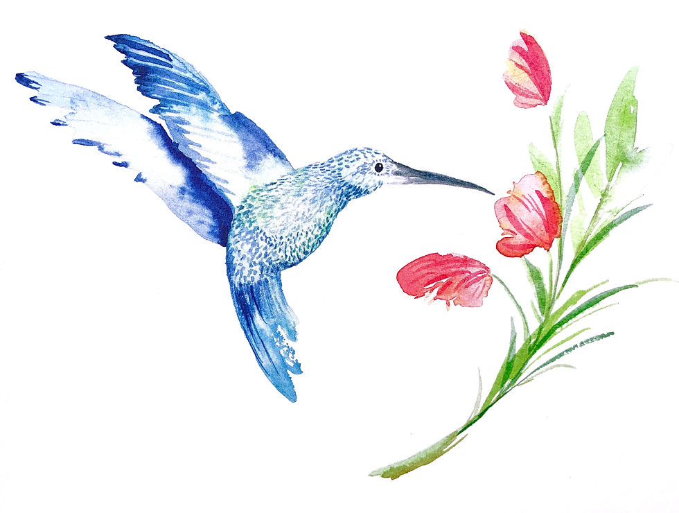 Watercolorists Meetup