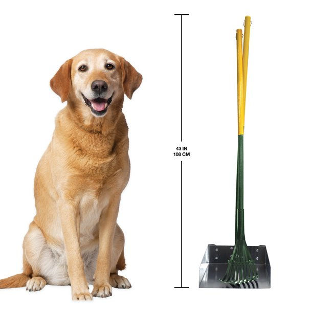 Thumbnail: Four Paws Dog Rake & Scooper Set for Pet Waste Pick-up Rake & Pan Set Large