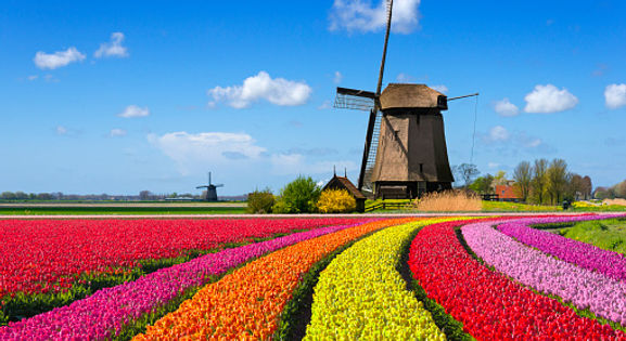 istockphoto-475182642-170667a.jpg