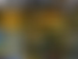 The Boston We See: A Chauffeur’s Guide to the Hub’s Hidden Soul