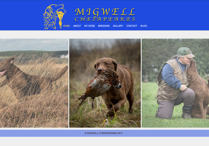 NEW WEBSITE LAUNCHED